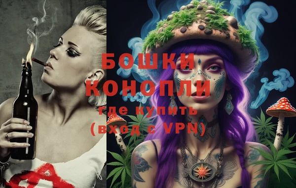стафф Алексин
