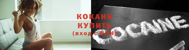 дживик Шарыпово