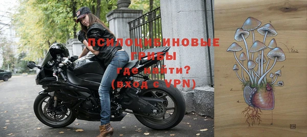 соль курить ск Алзамай