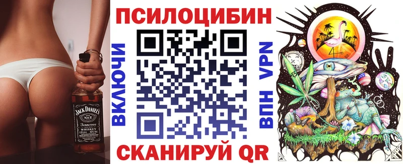 Псилоцибиновые грибы Psilocybine cubensis  Майкоп 