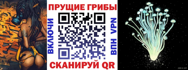 Псилоцибиновые грибы MAGIC MUSHROOMS Майкоп